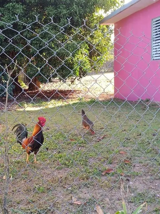 Casita Celenia Apartment Vieques